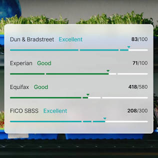 Startup Corporate Credit Builder, Credit Ready Aged Shelf Corporations Funding Up To $250,000 Unsecured EIN Business 80 Paydex $250k Unsecured Funding, Business CPN Ready Made 80 Paydex, $250k Funding, Experian, Equifax, SBFE, Auto Primary Tradeline $120,000, Custom Made 800 Credit Score, $100,000 Funded Ready, Personal Installment Loan, Apartment, Mortgages, Revolving Credit Lines, Dun & Bradstreet, No Credit Checks, Startup Business And Personal Credit Tradelines, 80 Paydex Funding & Credit For Every Situation, Corporate Credit 0% Startup Funding, Personal Loans, 0% Credit Card Stacking, Startup Credit Building, Aged Corps Credit Repair Services Business Start Funding, High Limit Credit Cards Tradelines, Credit Lines Funded Aged Corp, Authorized User Accounts, Experian Line, Equifax Line, SBFE, Auto Vehicle, Personal Installment Loan Tradeline Credit Lines, LLC, S-Corp, C-Corp Business Credit EIN & DUNS Credit Building, Advance Credit Repair Services, Credit Cards & Vehicle Financing With Only Your EIN, $250K 0% Startup Credit Cards $100K Corporate Credit EIN, LLC, No PG Or Credit Checks, $150K 0% Guaranteed Funding, No Personal Credit Check or Guarantee, $250K EIN Credit Builder Card Tradeline, Credit Cards, Loans. Review Your D&B Business Credit Report & Scores. FREE Personal & Business Credit Scores! Real Estate Fix Flip Credit Lines.